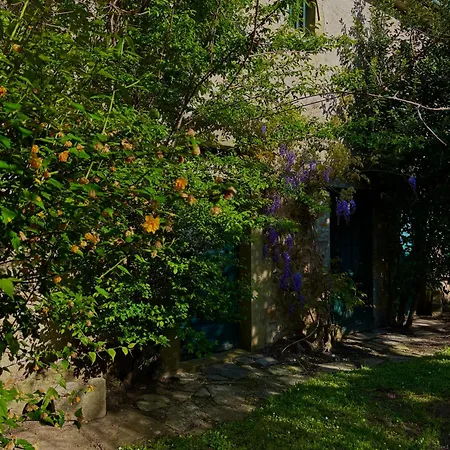 Babouz * Mirepoix (Ariege)